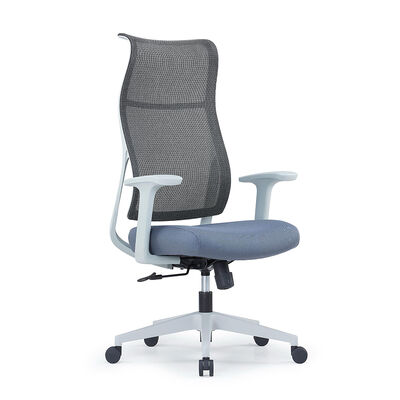 Ergonomische kantorenstoel met rugleuning, vaste lendensteun en vijfsterrenbasis